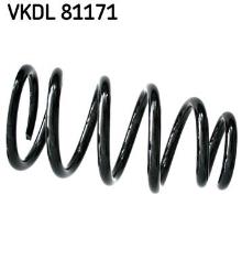 SKF VKDL 81171
